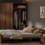 Tủ quần áo Mono( 1 hệ mở, 1 hệ kín)